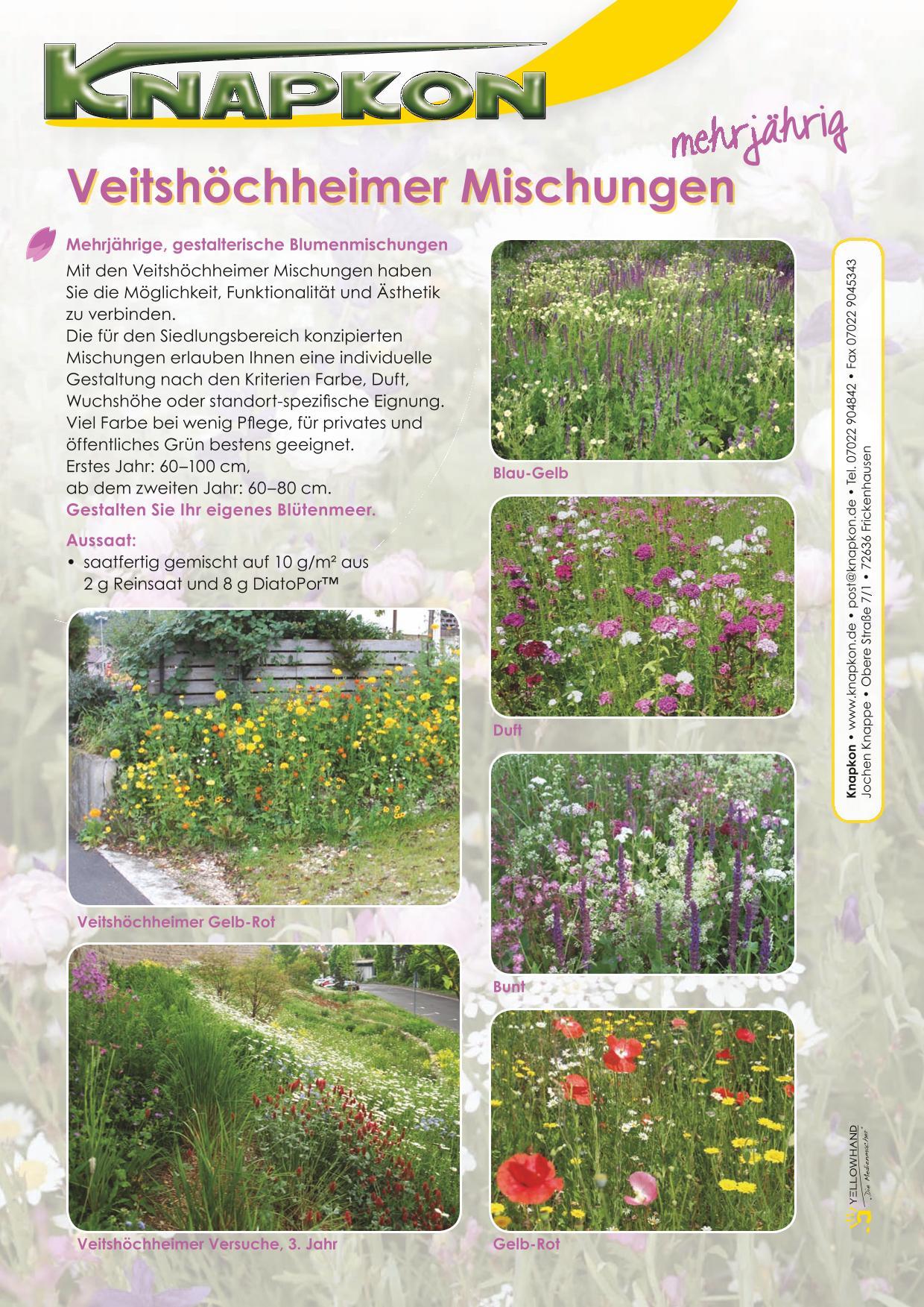 Veitshchheimer Bienenweide Kaufen Veitshchheimer Bienenweide Saatgut, 50  Qm  Blhende Blumenwiese Ohne Grser Wiesen Samen